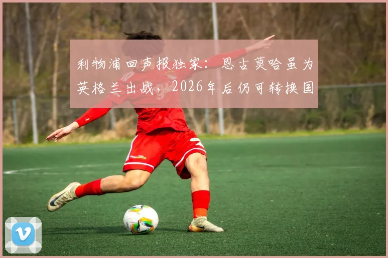 利物浦回声报独家：恩古莫哈虽为英格兰出战，2026年后仍可转换国家队资格全解析